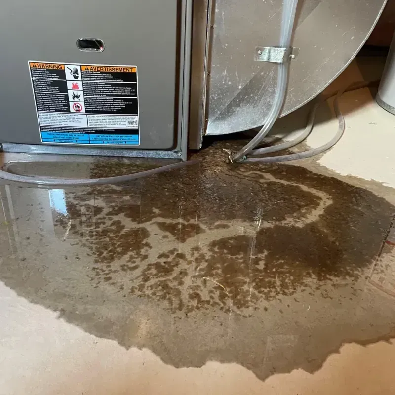 Appliance Leak Cleanup in Montana City, MT